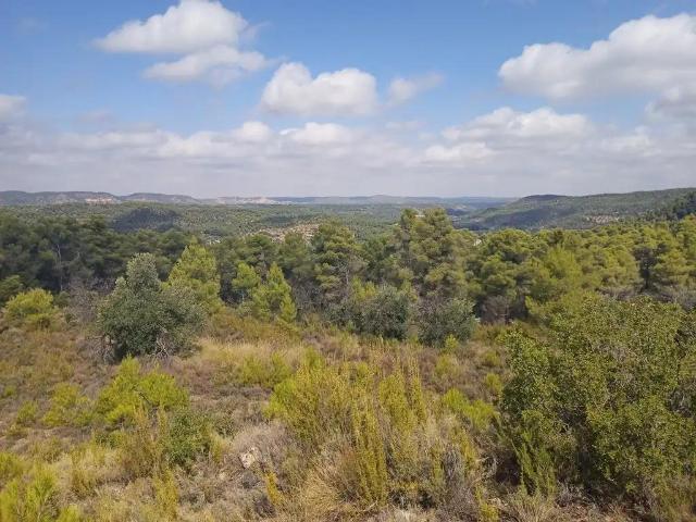 Finca en venta en Matarraña / Matarranya, Valderrobres