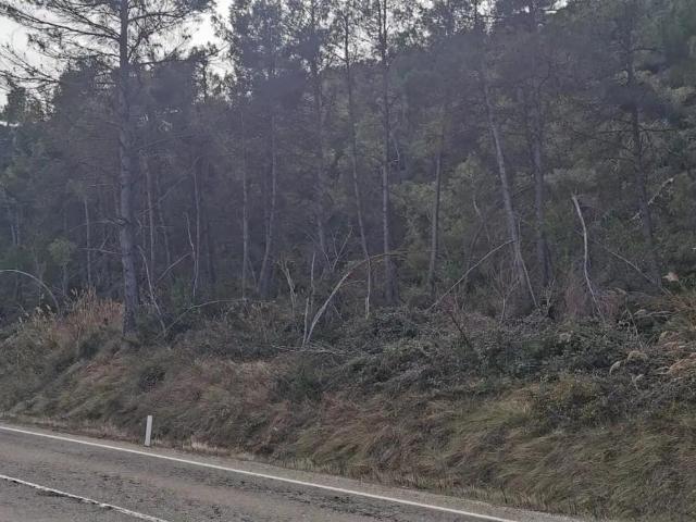 Finca en venta en Matarraña / Matarranya, Valderrobres