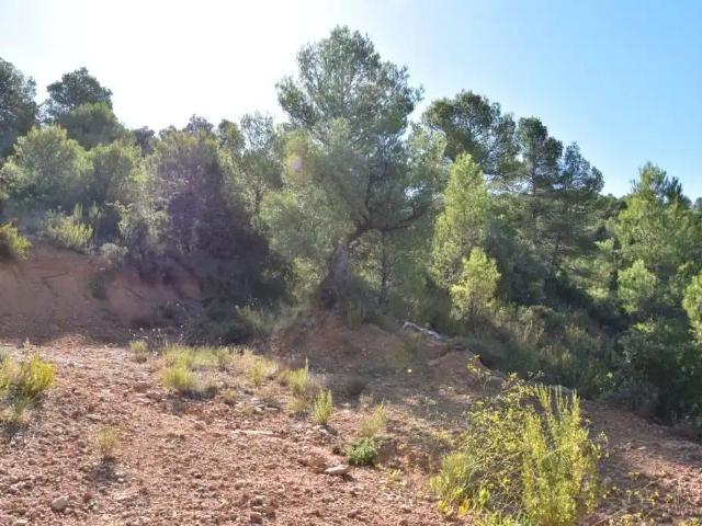 Finca en venta en Matarraña / Matarranya, Valderrobres