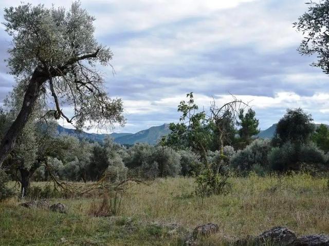 Finca en venta en Matarraña / Matarranya, Valderrobres