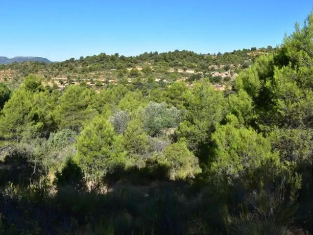 Finca en venta en Matarraña / Matarranya, Valderrobres