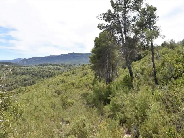 Finca en venta en Matarraña / Matarranya, Valderrobres
