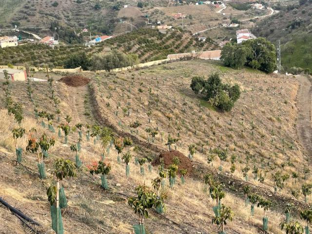 Terreno en venta en Vélez-málaga, Cajiz