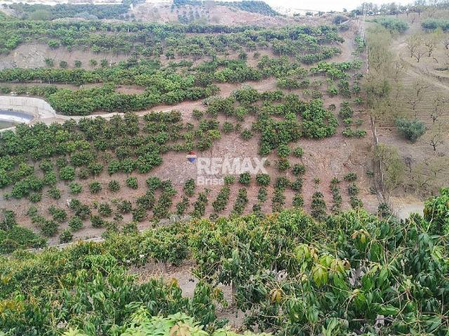Finca en venta en Reñidero, La Axarquía