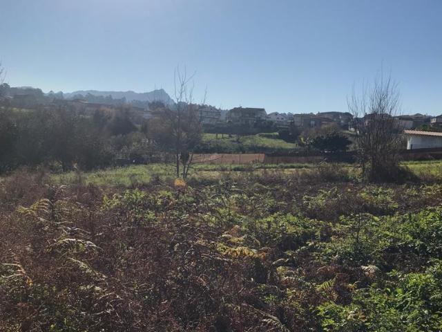 Finca en venta en Vigo, Galicia