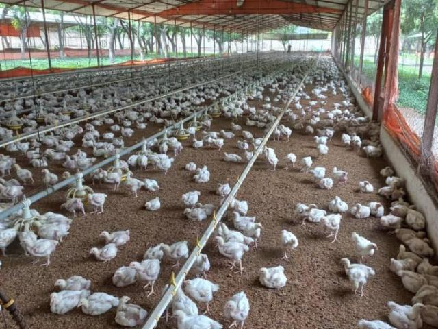 Terreno en venta en Zulia