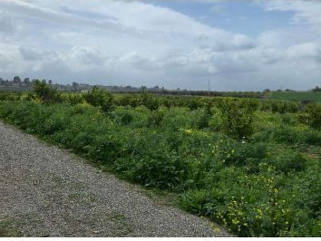 Local Comercial en venta en Villafranco del Guadalhorce, Valle del Guadalhorce