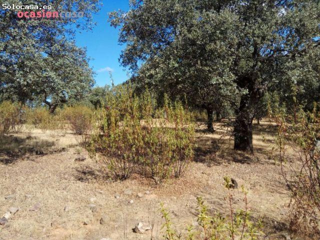 Local Comercial en venta en Villanueva Del Duque, Andalucía