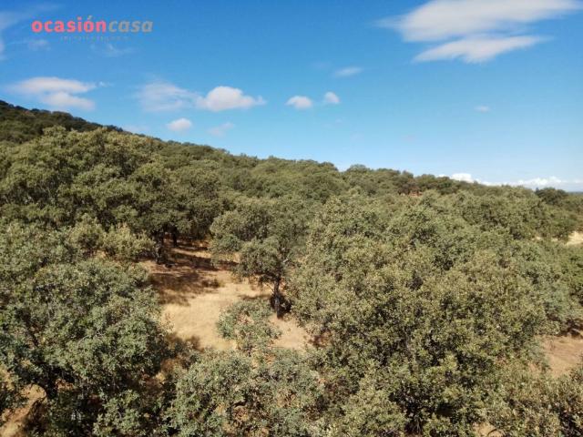 Chalet en venta en Villanueva Del Duque, Andalucía