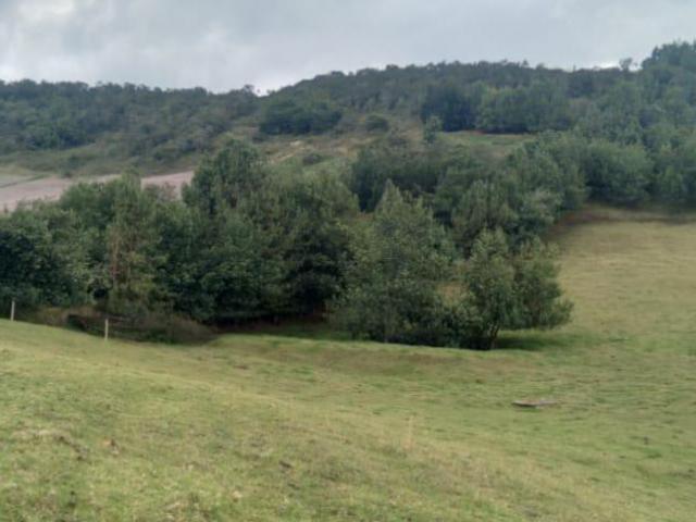 Finca en venta en Cundinamarca