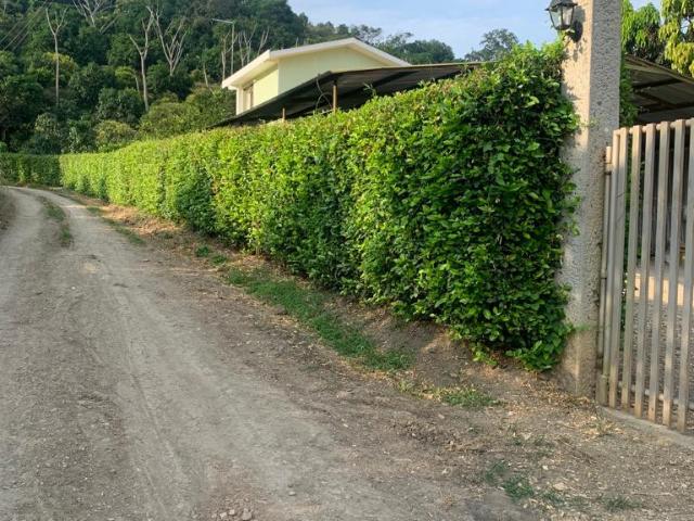Finca en venta en Cundinamarca