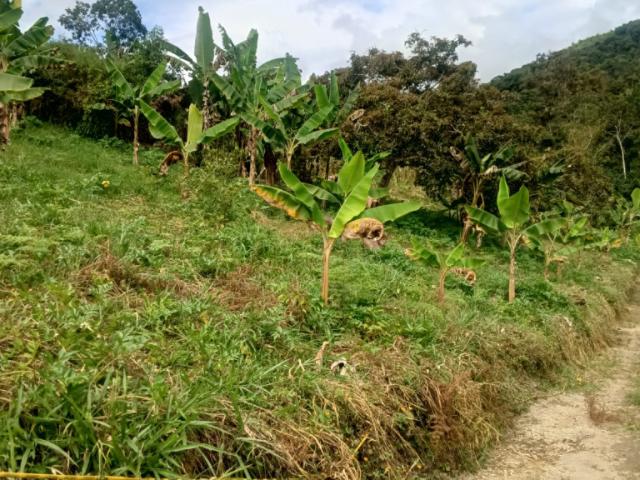 Finca en venta en Cundinamarca