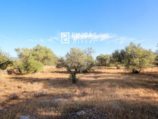 Finca en venta en Baix Ebre, Catalunya
