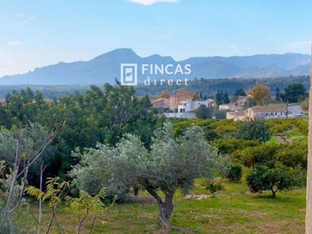 Finca en venta en Xerta Finca en venta en Xerta