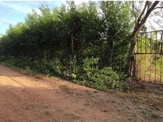 Finca en venta en Valencia