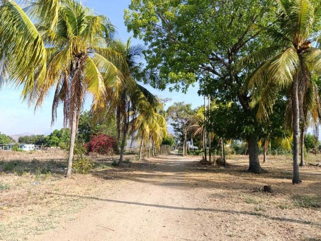 Finca en venta en San Joaquín, Carabobo