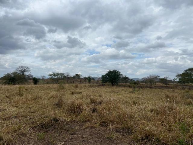 Finca en venta en Iribarren, Lara
