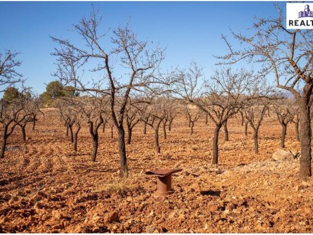 Local Comercial en venta en Láujar De Andarax, Andalucía
