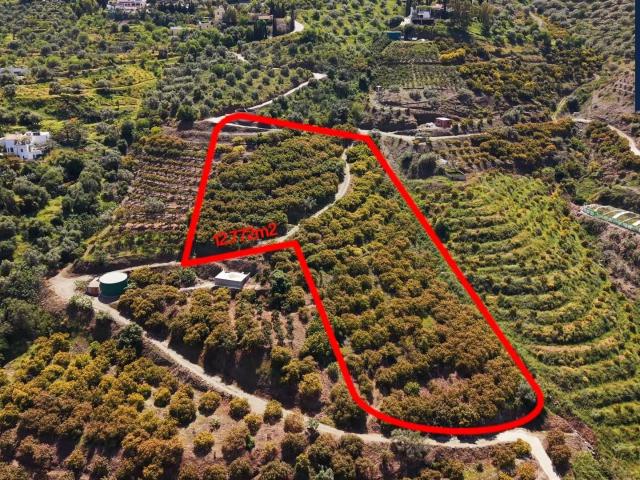 Terreno en venta en Torrox Park, La Axarquía