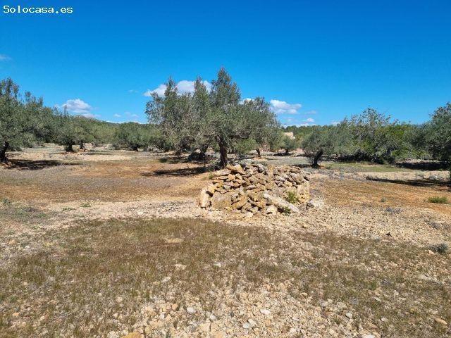 Local Comercial en venta en Baix Ebre, Catalunya