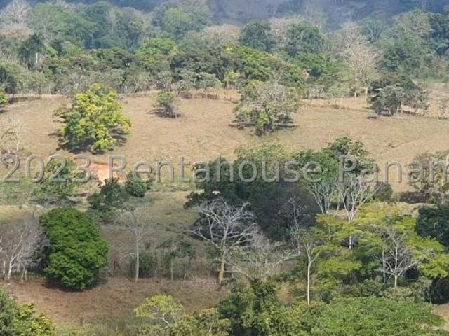 FINCA GANADERA EN VENTA EN CAPIRA. DDB23 8646