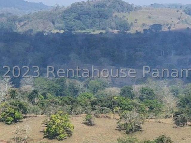 FINCA GANADERA EN VENTA EN CAPIRA. DDB23 8646