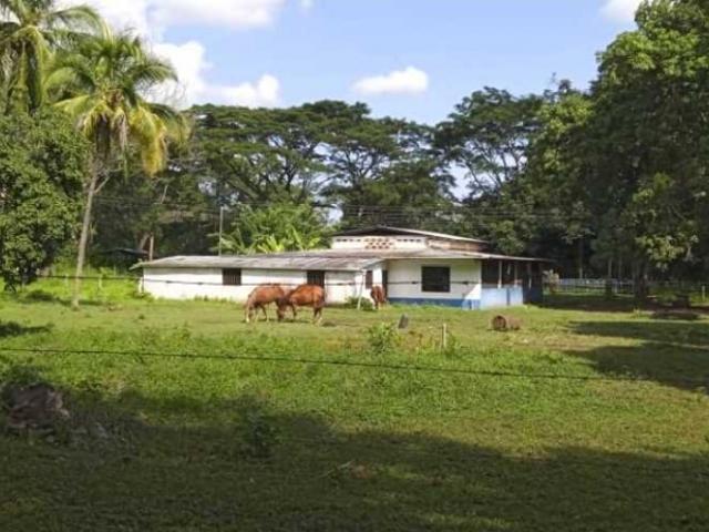 Finca en venta en Tinaquillo, Cojedes