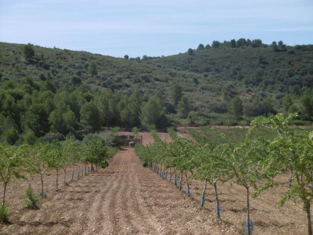 Terreno en venta en Vall D'alba, Valencia