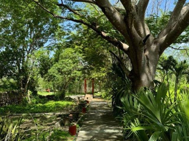 Finca Henequenera del Siglo XIX – Remodelada