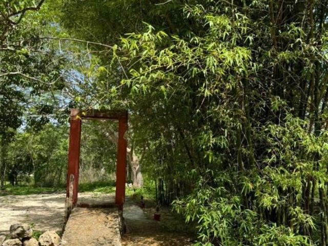 Finca Henequenera del Siglo XIX – Remodelada