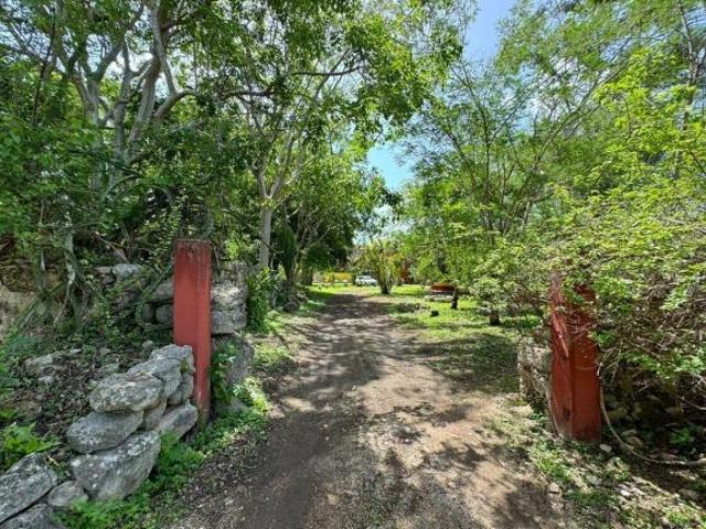 Finca Henequenera del Siglo XIX – Remodelada