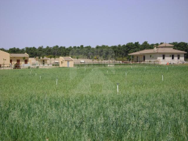 Chalet en venta en Arévalo, Castilla y León