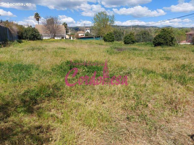 Local Comercial en venta en Alcolea, Córdoba