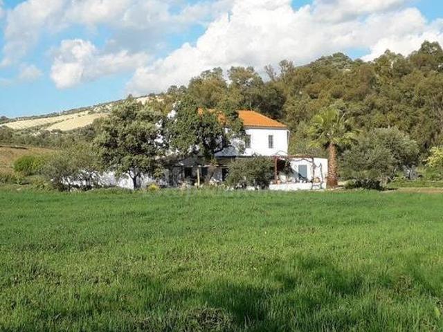 Casa en alquiler en Sierra de Cádiz, Andalucía