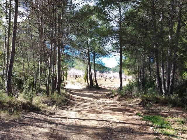 Terreno en venta en Río Mula, Murcia