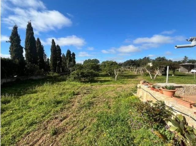 Casa en venta en Raiguer, Baleares
