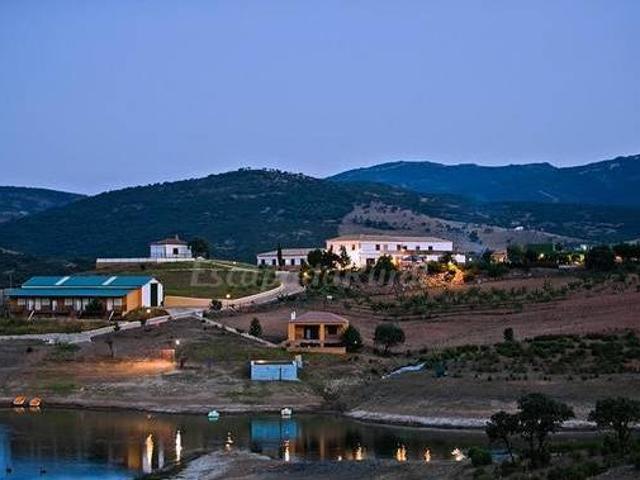 Casa en alquiler en Calzada De Calatrava, Castilla-La Mancha