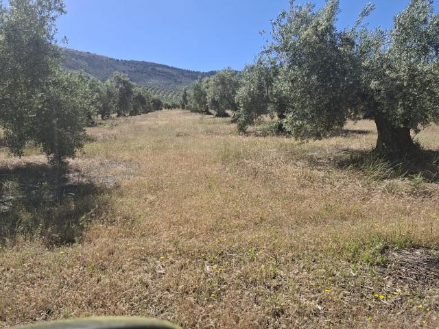 Terreno en venta en Huelma, Jaén