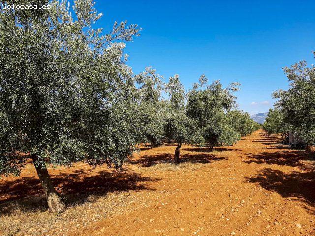 Finca en venta en Pla de Mallorca, Baleares