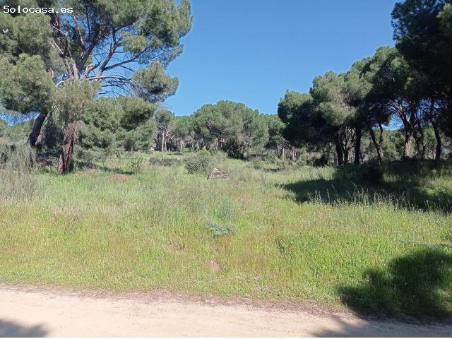 Local Comercial en venta en Pelayos De La Presa, Poblado de San Juan