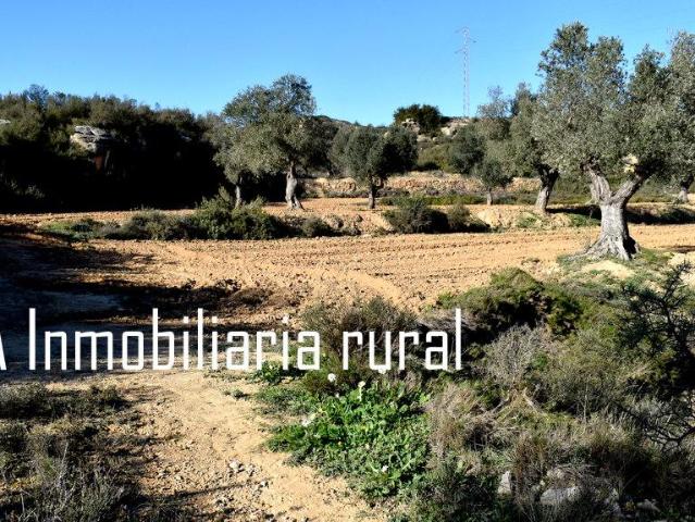 Finca en venta en Bajo Aragón-Caspe / Baix Aragó-Casp, Aragón