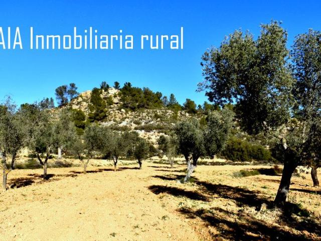 Finca en venta en Bajo Aragón-Caspe / Baix Aragó-Casp, Aragón