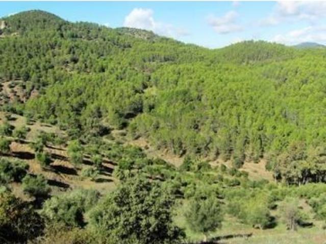 Casa en venta en Sierra de Cádiz, Andalucía