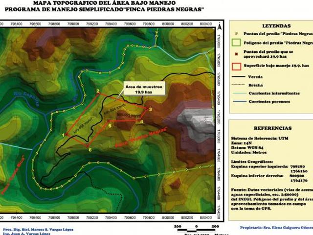 Finca Piedras Negras