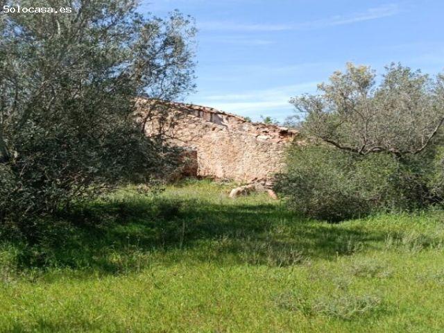 Local Comercial en venta en Baix Ebre, Catalunya