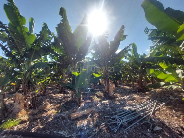 Terreno en venta en San Cristóbal de La Laguna, Canarias