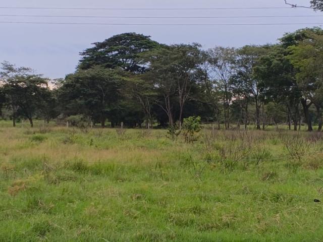 Finca en venta en El Mamón, Municipio Guanare