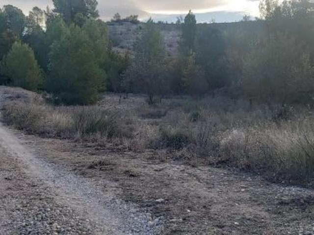Local Comercial en venta en Casetes de Joan Blanco, el Vinalopó Mitjà / El Vinalopó Medio