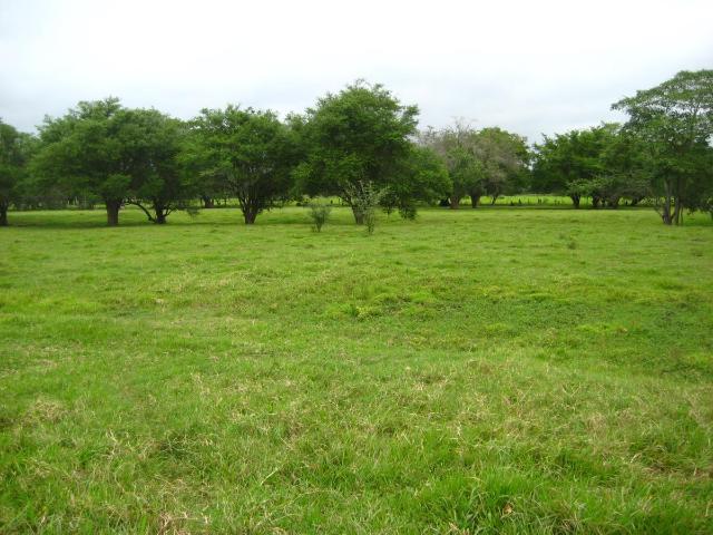Rancho en venta en Centro, Tabasco