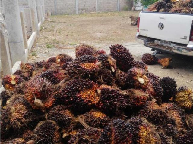 Terreno en venta en Lázaro Cárdenas, El Triunfo